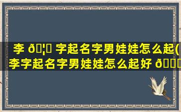 李 🦅 字起名字男娃娃怎么起(李字起名字男娃娃怎么起好 🐋 听)